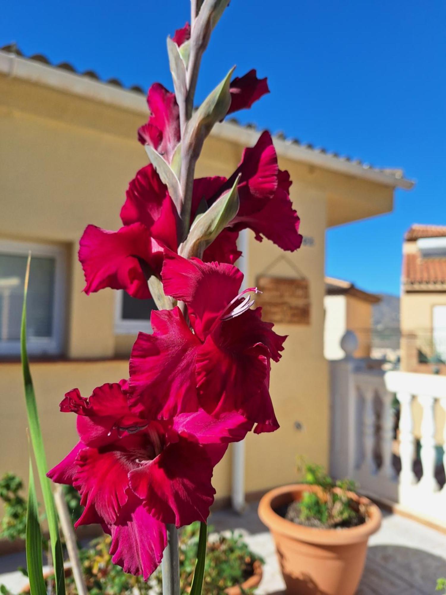 Casa Mirador Perea Daire Málaga Dış mekan fotoğraf